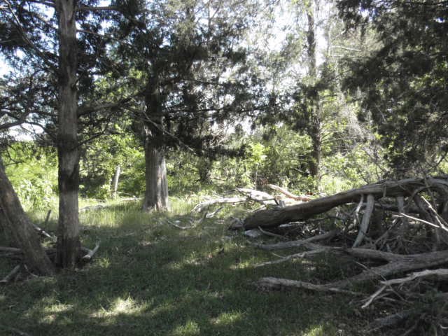 Baughman Cemetery