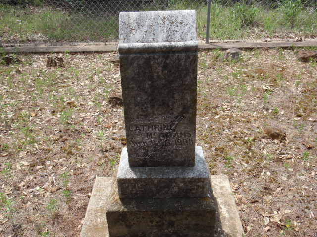 Catherine McAdams
