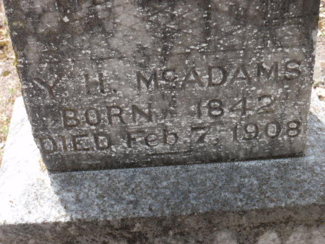 Y H McAdams Close Up