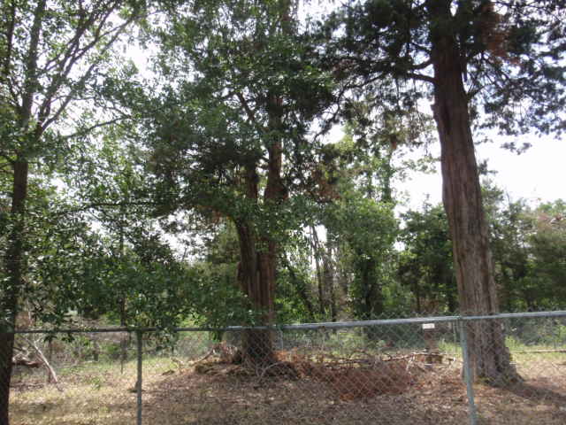 Frye McAdams Cemetery