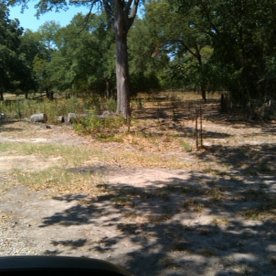 Garner Cemetery