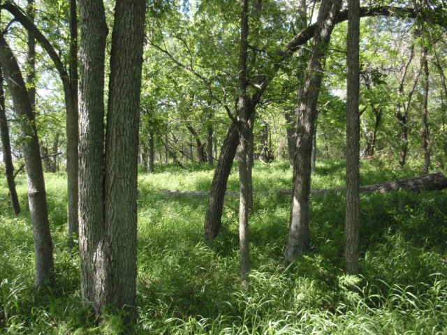 Huff Cemetery