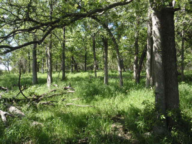 Huff Cemetery