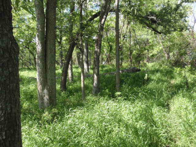 Huff Cemetery