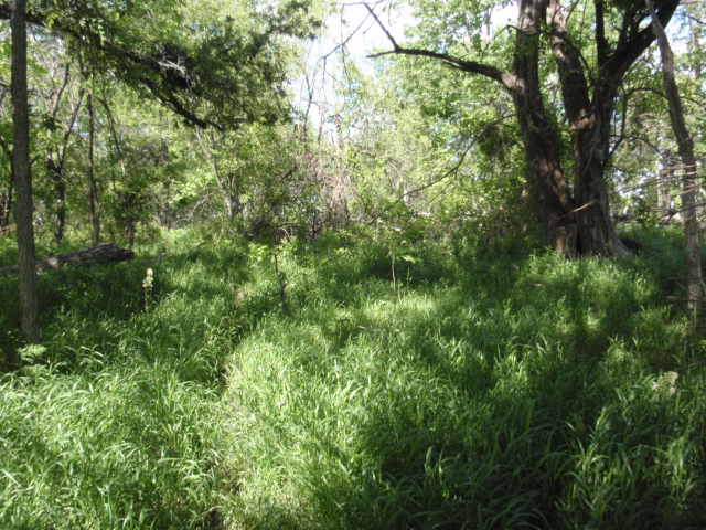 Huff Cemetery