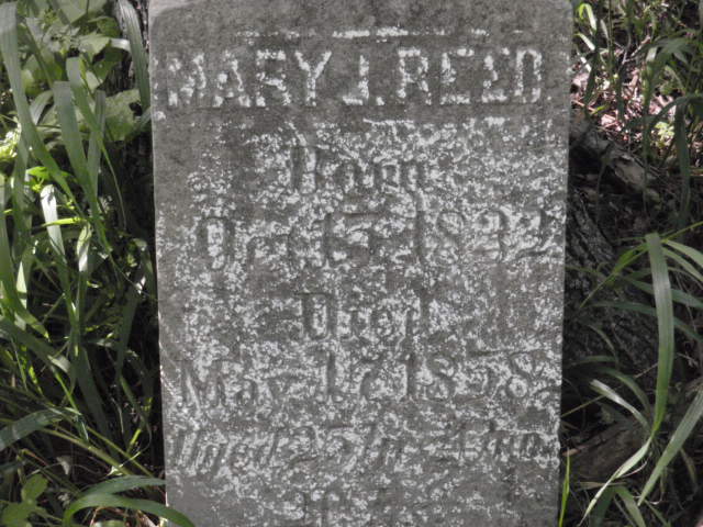 Mary J Reed CloseUp
