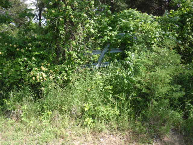 Jackson Cemetery