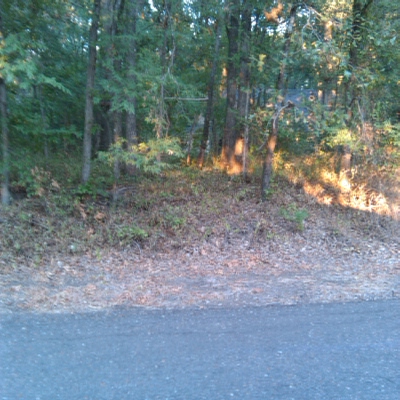 Jones Cemetery