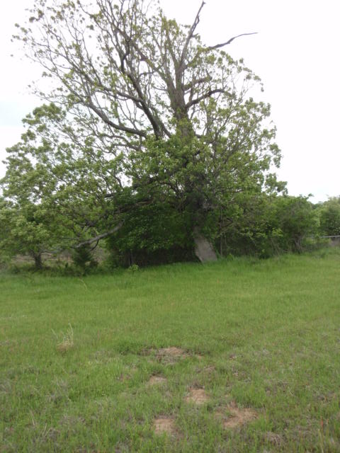 Kitchens Cemetery