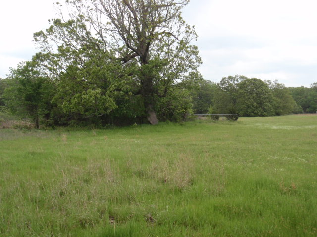 Kitchens Cemetery