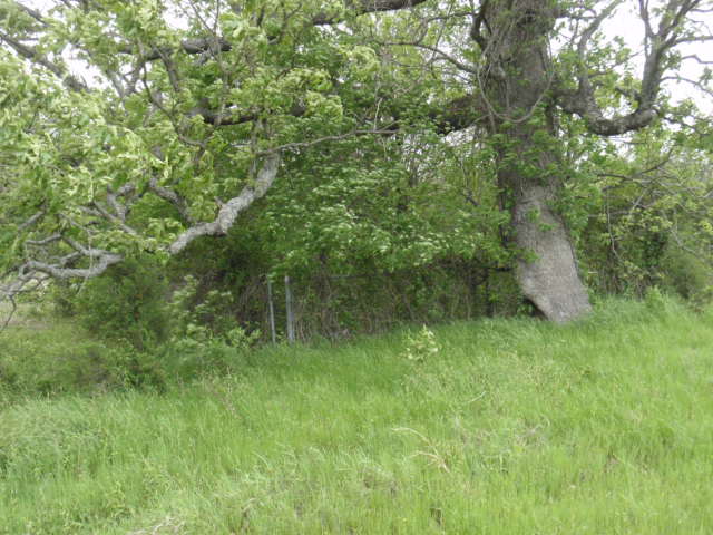 Kitchens Cemetery