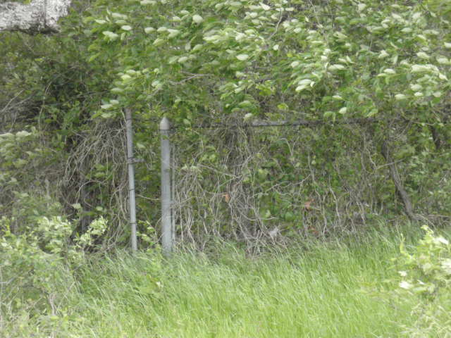 Kitchens Cemetery