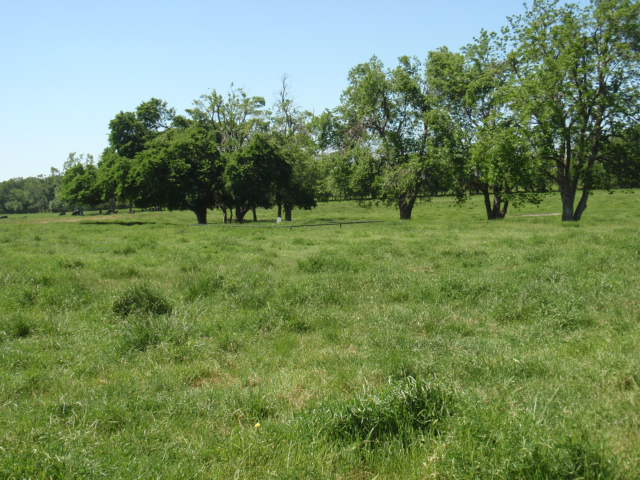 Moss Family Ranch Cemetery