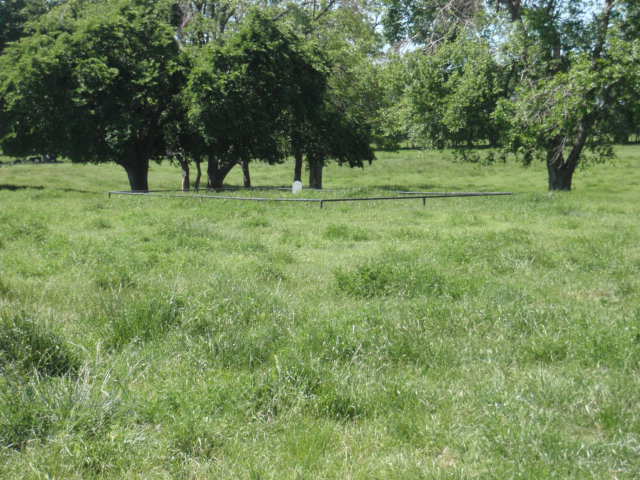 Moss Family Ranch Cemetery