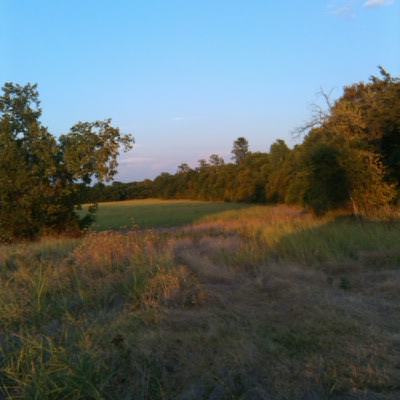 Powell Cemetery