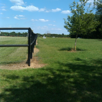 Shiloh Cemetery